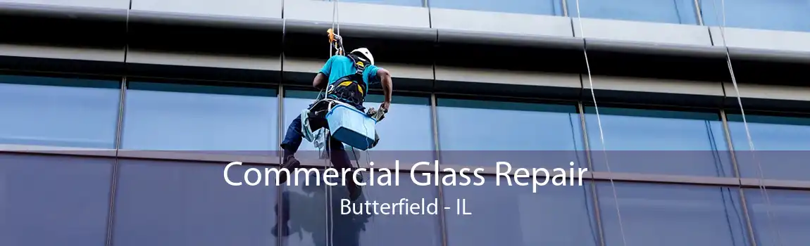 Commercial Glass Repair Butterfield - IL