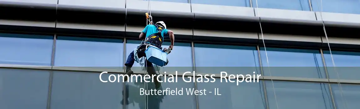 Commercial Glass Repair Butterfield West - IL