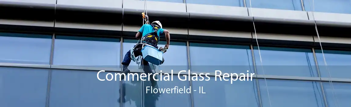 Commercial Glass Repair Flowerfield - IL