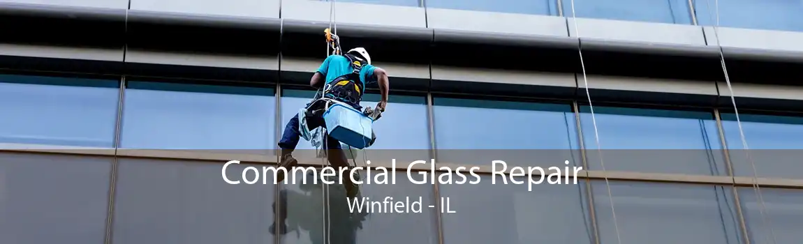 Commercial Glass Repair Winfield - IL