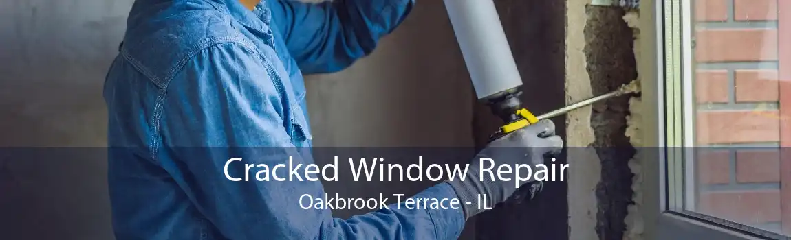 Cracked Window Repair Oakbrook Terrace - IL