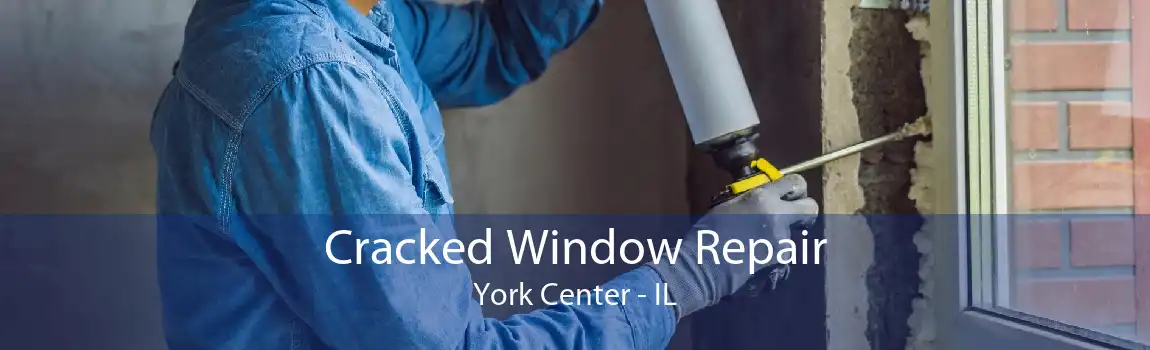 Cracked Window Repair York Center - IL