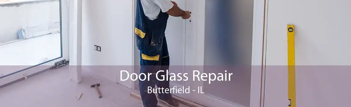 Door Glass Repair Butterfield - IL