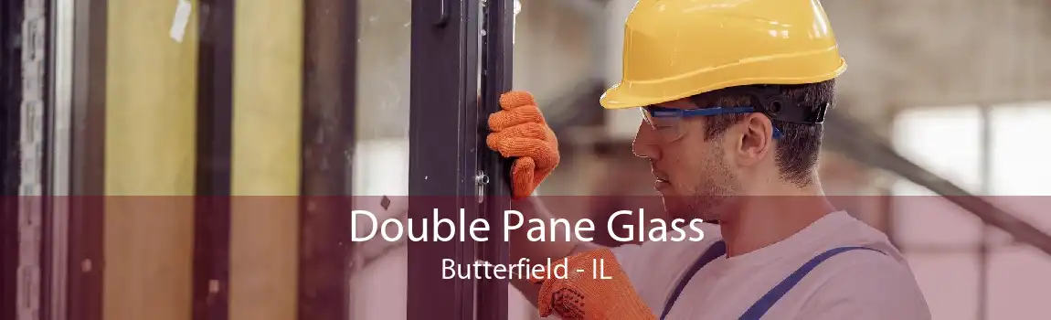 Double Pane Glass Butterfield - IL