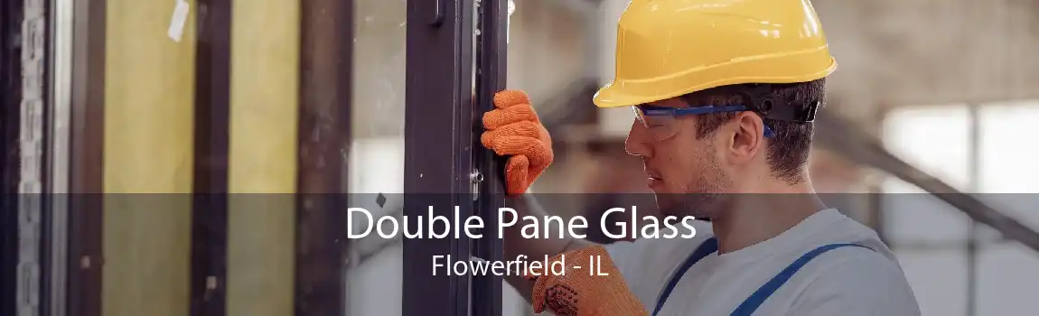 Double Pane Glass Flowerfield - IL