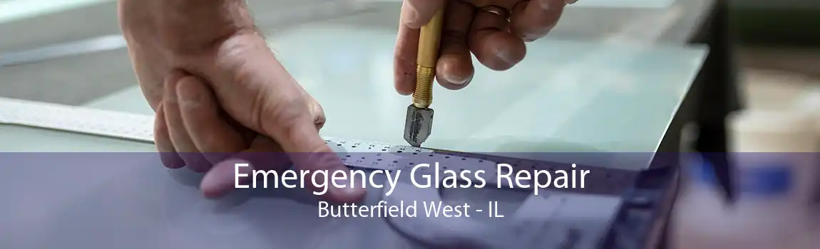 Emergency Glass Repair Butterfield West - IL
