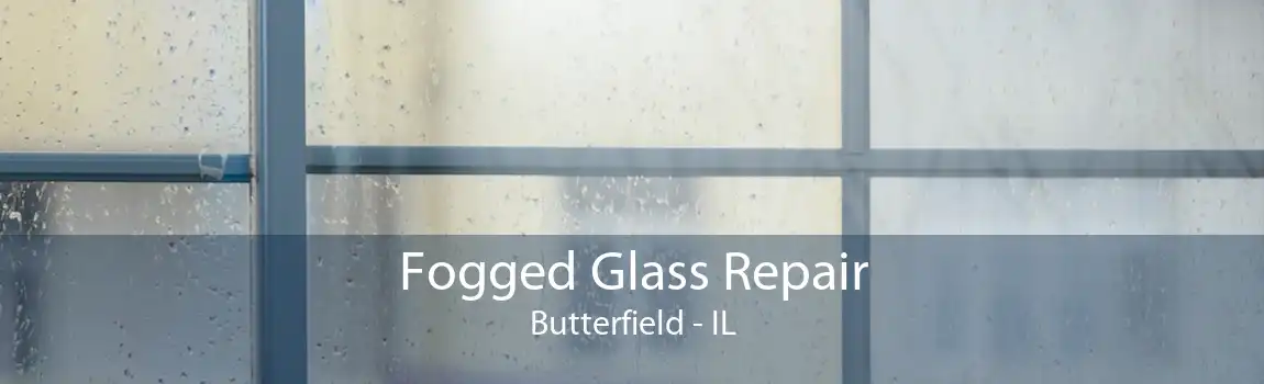 Fogged Glass Repair Butterfield - IL