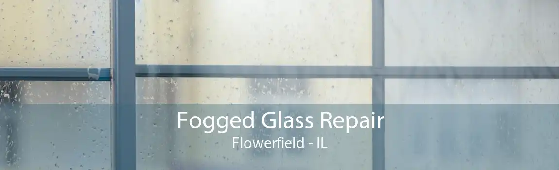 Fogged Glass Repair Flowerfield - IL