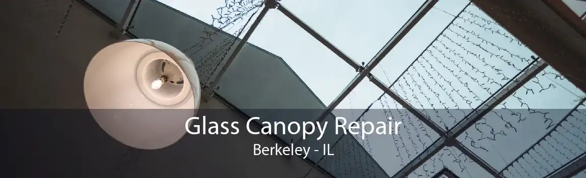 Glass Canopy Repair Berkeley - IL