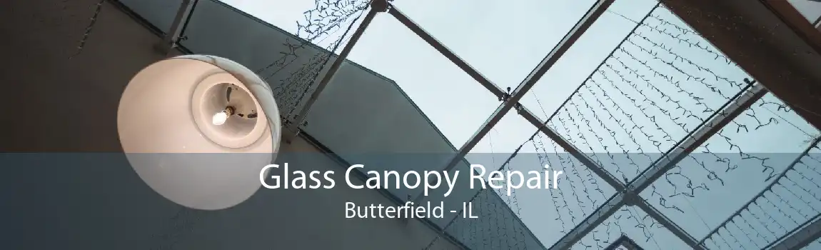 Glass Canopy Repair Butterfield - IL