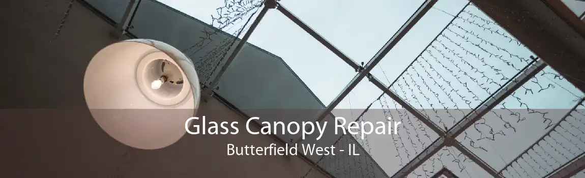 Glass Canopy Repair Butterfield West - IL