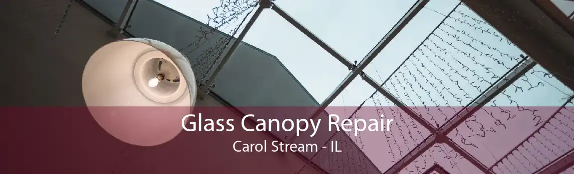 Glass Canopy Repair Carol Stream - IL
