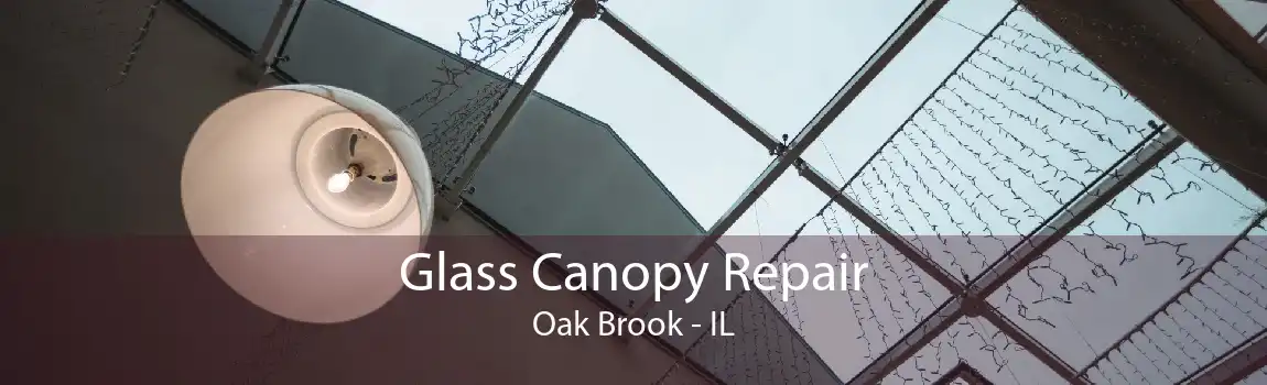 Glass Canopy Repair Oak Brook - IL