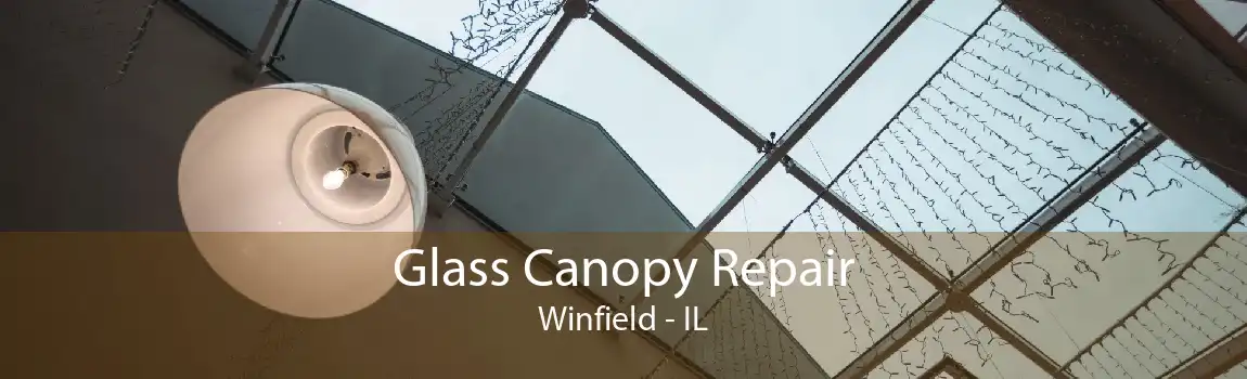 Glass Canopy Repair Winfield - IL