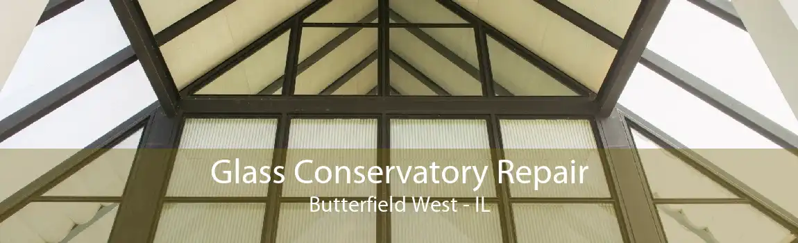 Glass Conservatory Repair Butterfield West - IL
