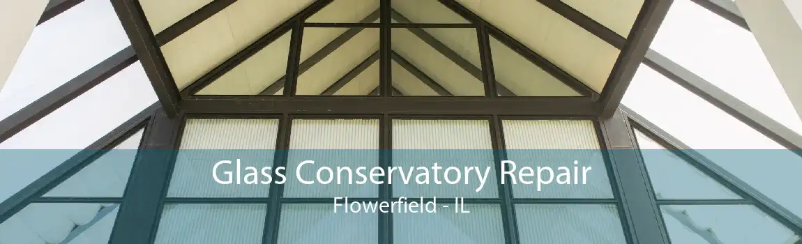 Glass Conservatory Repair Flowerfield - IL