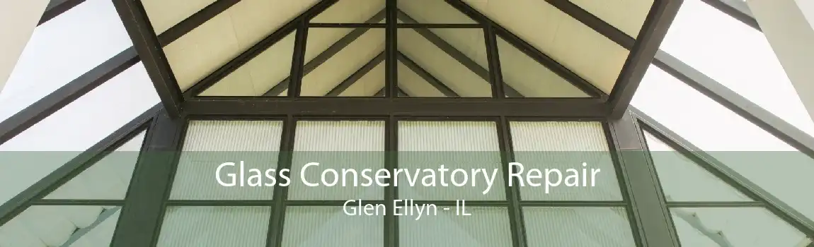 Glass Conservatory Repair Glen Ellyn - IL