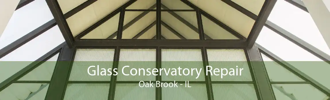 Glass Conservatory Repair Oak Brook - IL