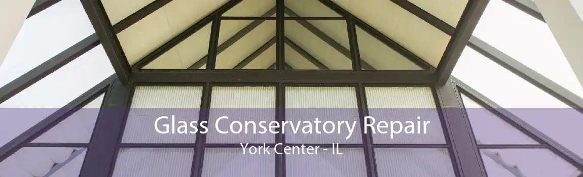 Glass Conservatory Repair York Center - IL