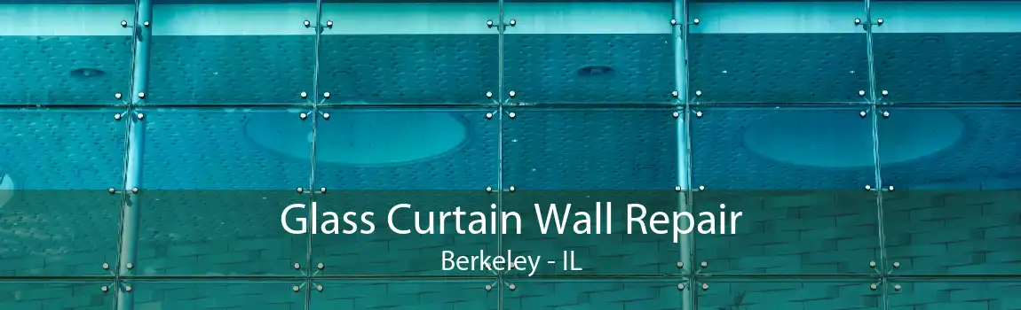 Glass Curtain Wall Repair Berkeley - IL