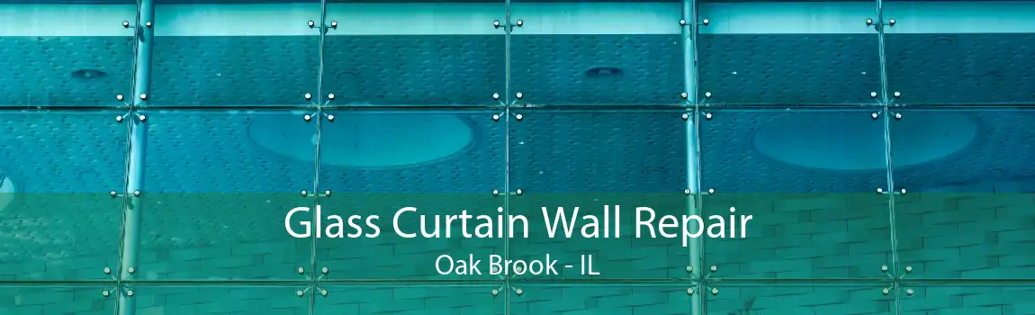 Glass Curtain Wall Repair Oak Brook - IL