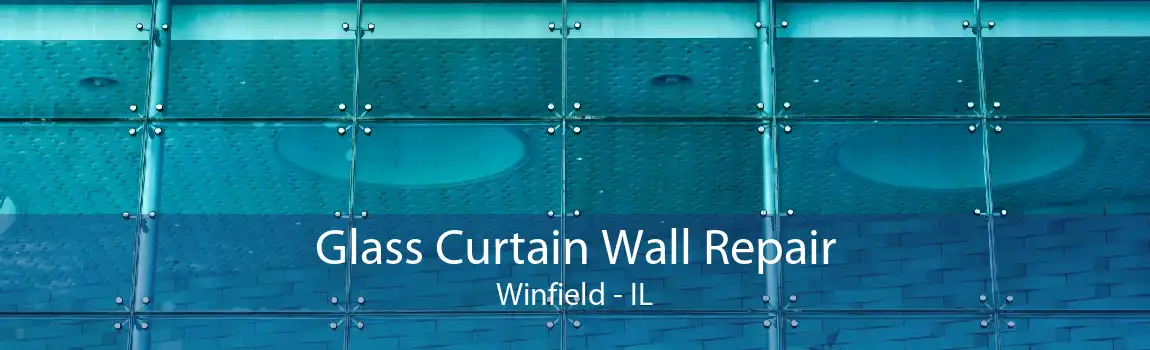 Glass Curtain Wall Repair Winfield - IL