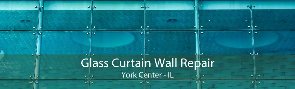 Glass Curtain Wall Repair York Center - IL