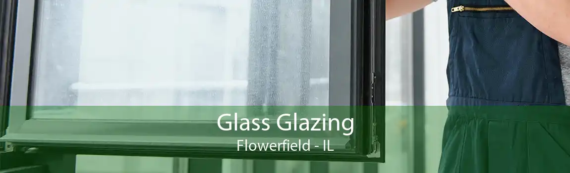 Glass Glazing Flowerfield - IL