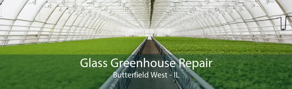 Glass Greenhouse Repair Butterfield West - IL