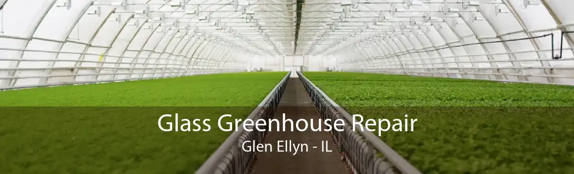 Glass Greenhouse Repair Glen Ellyn - IL