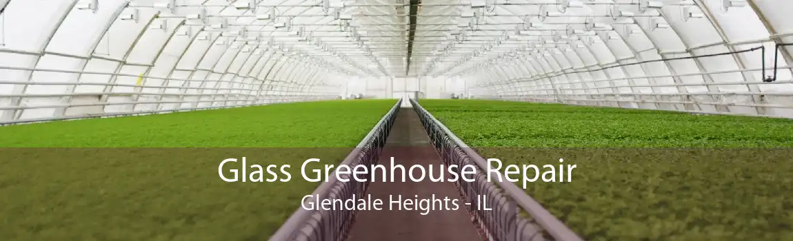 Glass Greenhouse Repair Glendale Heights - IL