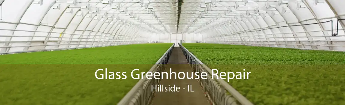 Glass Greenhouse Repair Hillside - IL