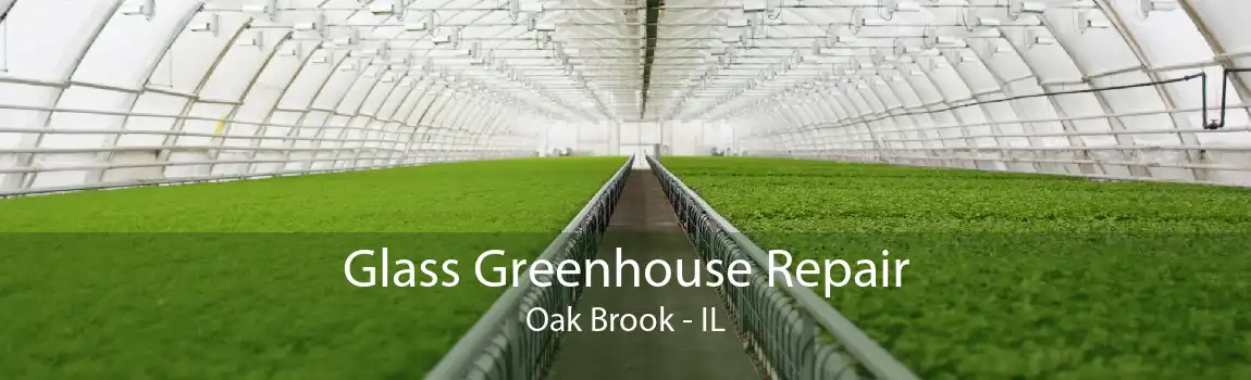 Glass Greenhouse Repair Oak Brook - IL