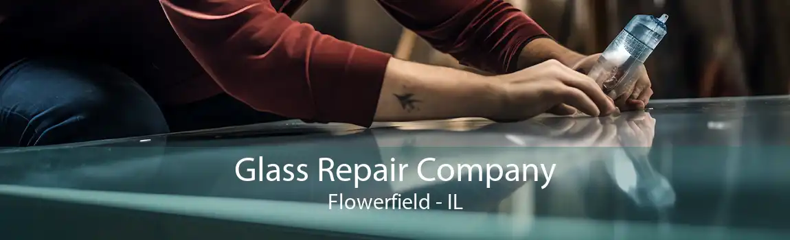 Glass Repair Company Flowerfield - IL