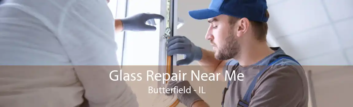 Glass Repair Near Me Butterfield - IL