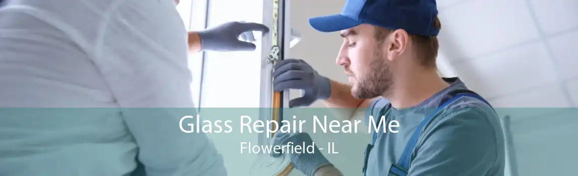 Glass Repair Near Me Flowerfield - IL