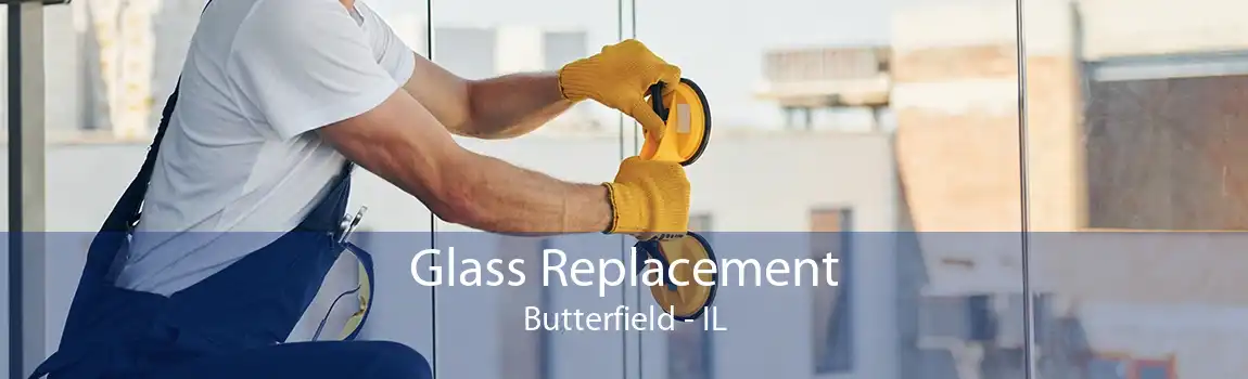 Glass Replacement Butterfield - IL