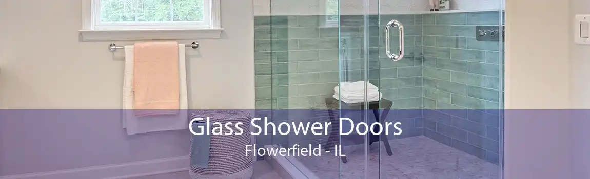 Glass Shower Doors Flowerfield - IL