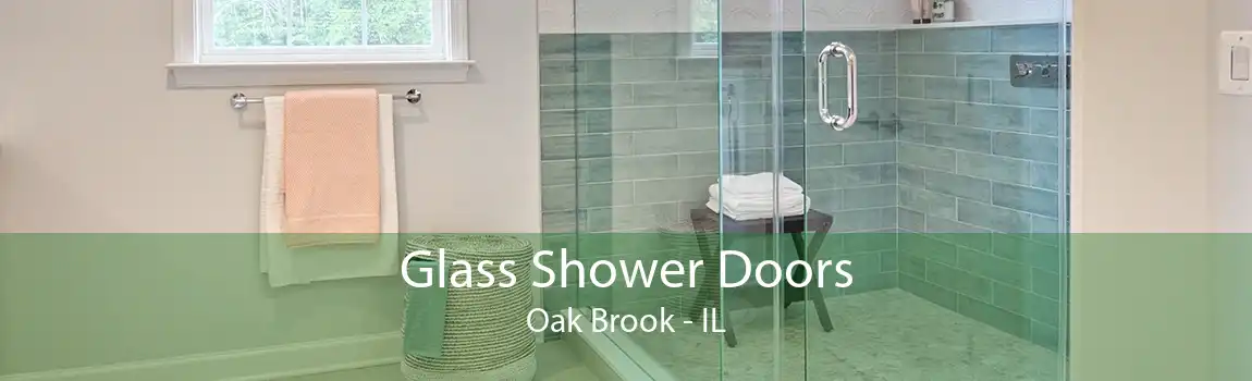 Glass Shower Doors Oak Brook - IL