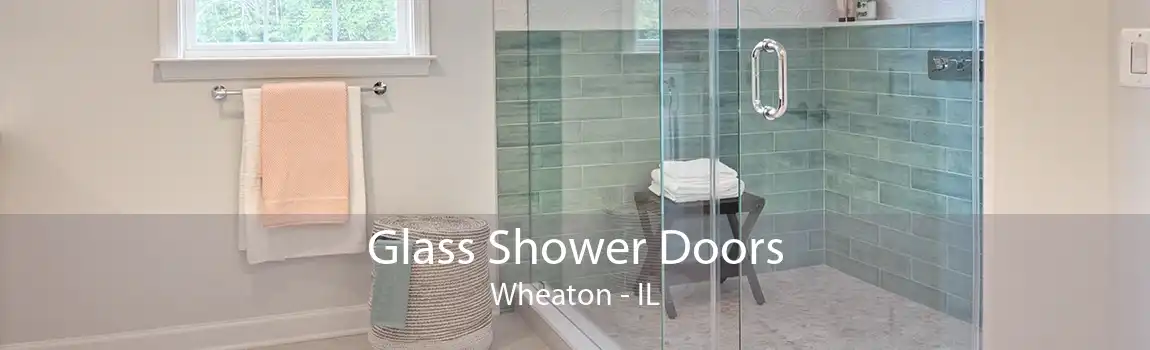 Glass Shower Doors Wheaton - IL