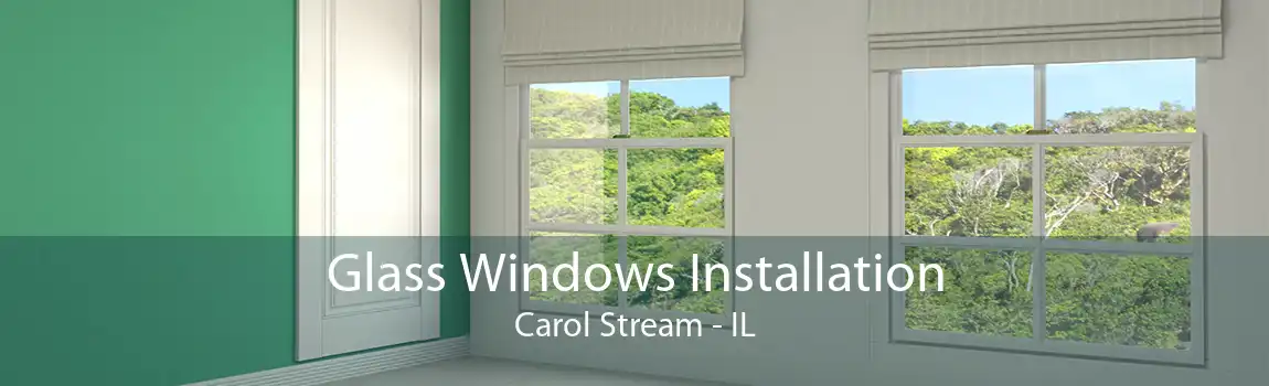 Glass Windows Installation Carol Stream - IL