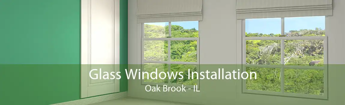 Glass Windows Installation Oak Brook - IL