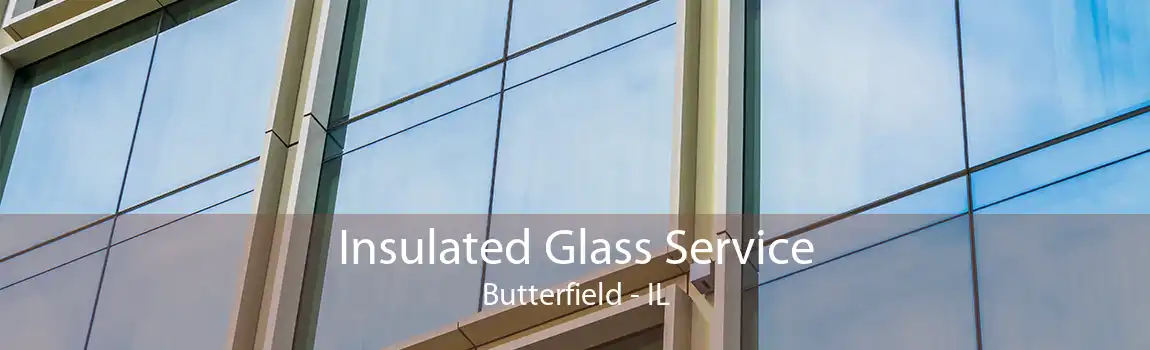 Insulated Glass Service Butterfield - IL