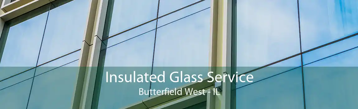Insulated Glass Service Butterfield West - IL