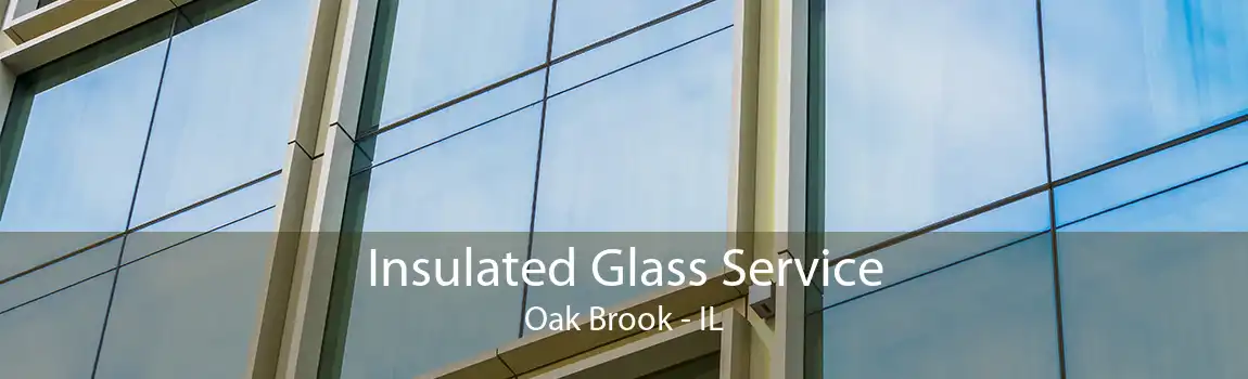Insulated Glass Service Oak Brook - IL