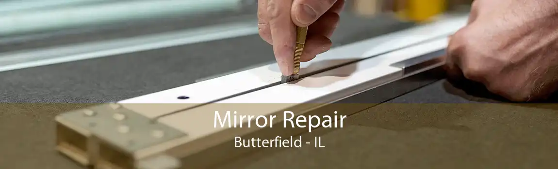 Mirror Repair Butterfield - IL