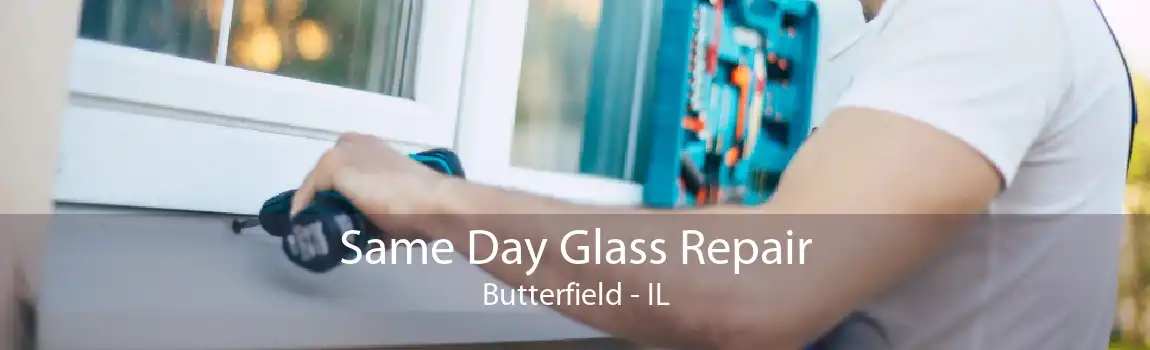 Same Day Glass Repair Butterfield - IL