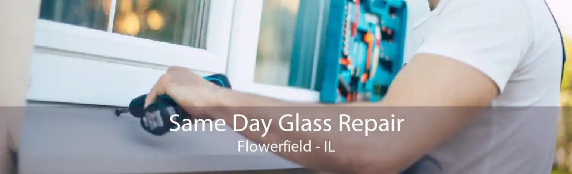 Same Day Glass Repair Flowerfield - IL