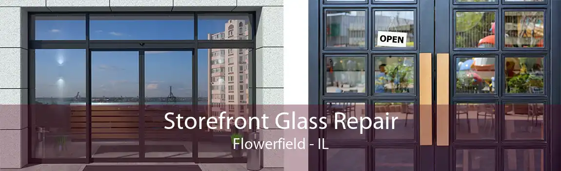 Storefront Glass Repair Flowerfield - IL