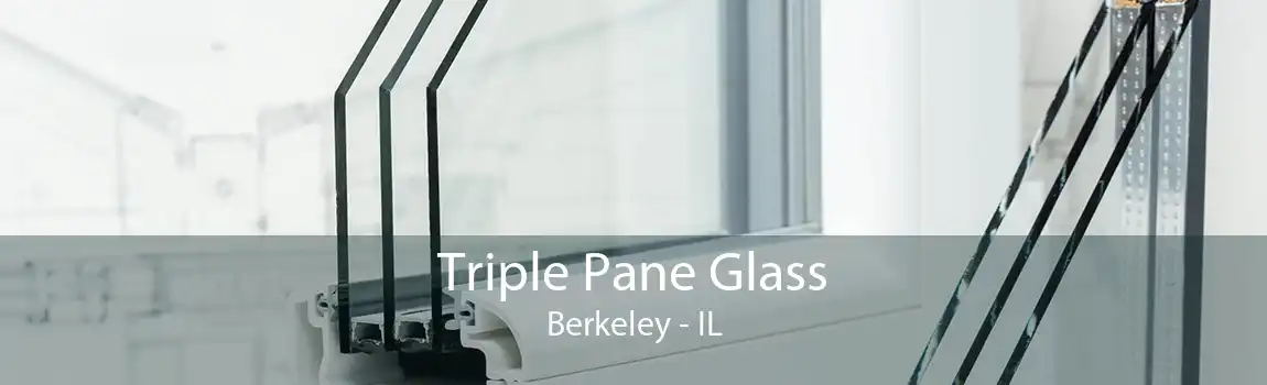 Triple Pane Glass Berkeley - IL
